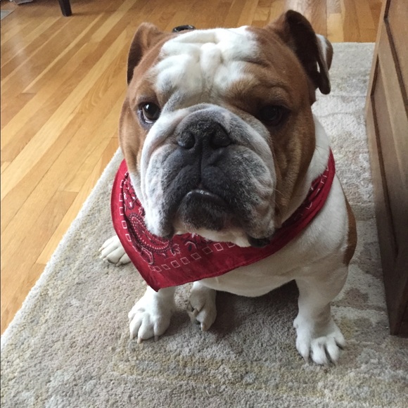 Meet your Posher, Erika - Picture 1 of 6